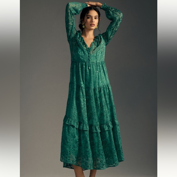Anthropologie Dresses & Skirts - The Marais Maxi Dress: Satin-Burnout Edition Medium Petite